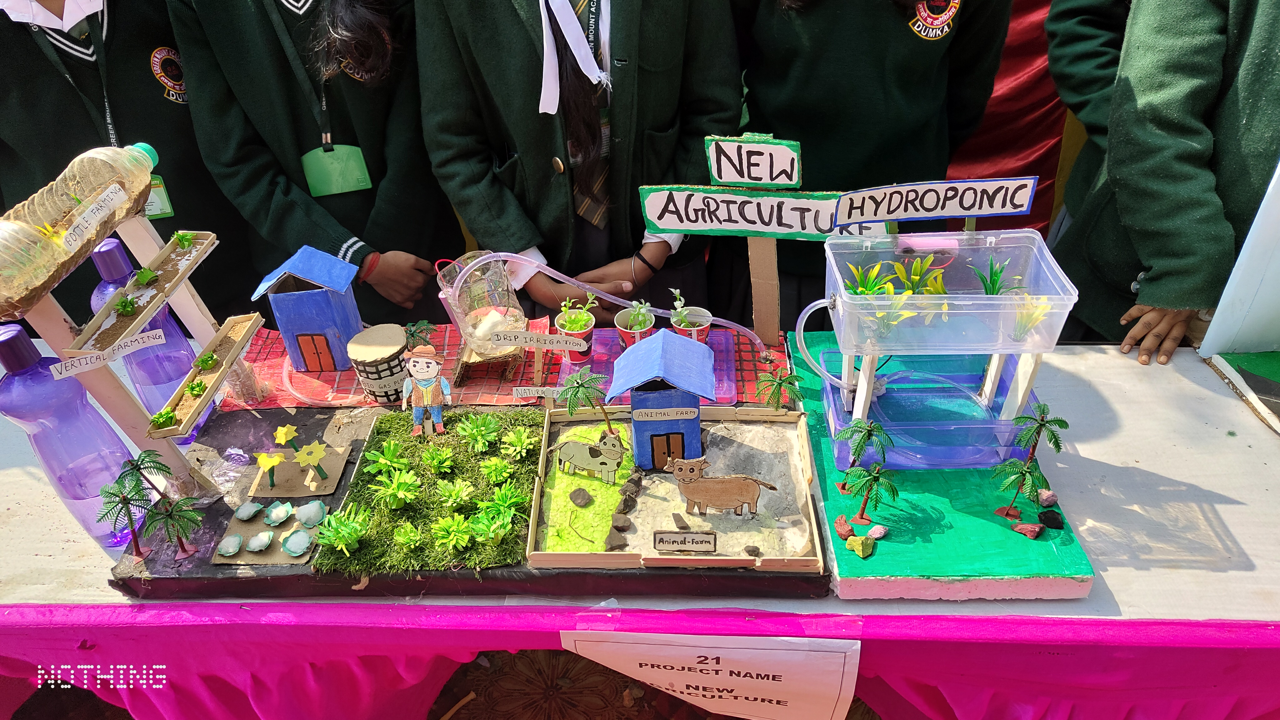 Green Mount Academy Science Exhibition 12
